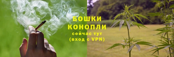 молекула духа Аркадак