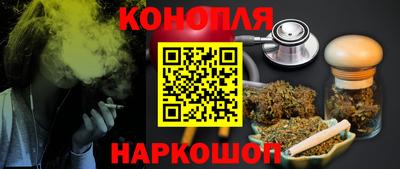 прущие грибы Владивосток