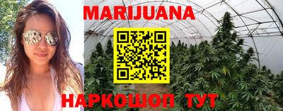 шишки Братск