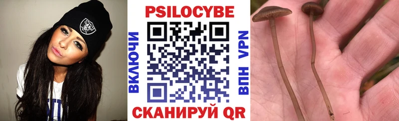 где продают   Белорецк  Псилоцибиновые грибы мицелий 