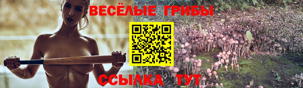 Галлюциногенные грибы GOLDEN TEACHER Белорецк