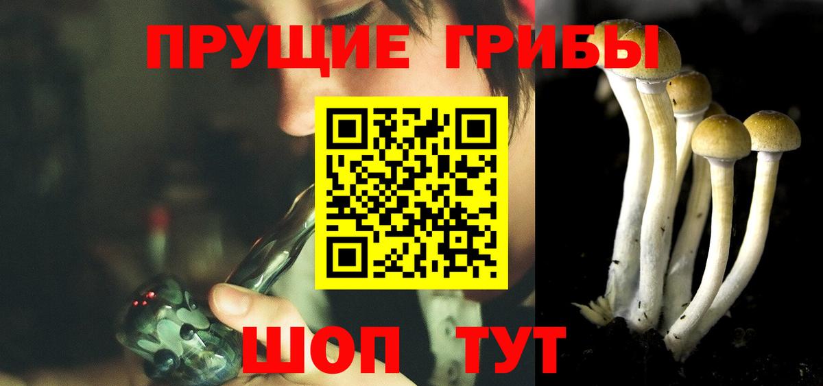 Белорецк  Галлюциногенные грибы GOLDEN TEACHER  дарнет шоп  Вход с VPN  Галлюциногенные грибы Psilocybine cubensis 